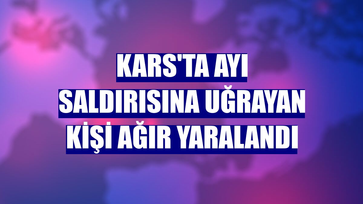 Kars'ta ayı saldırısına uğrayan kişi ağır yaralandı