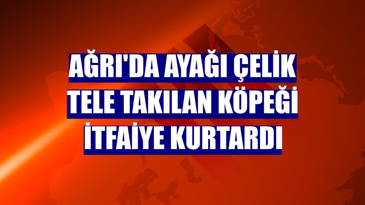 Ağrı'da ayağı çelik tele takılan köpeği itfaiye kurtardı