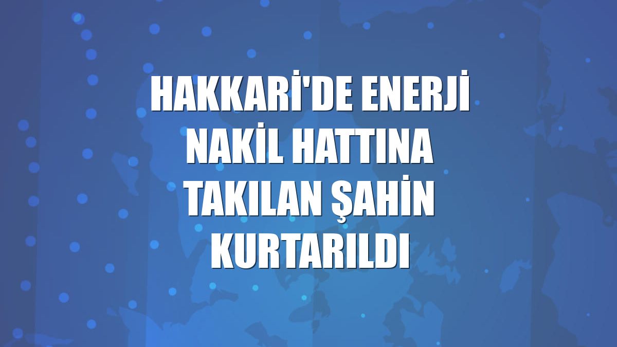 Hakkari'de enerji nakil hattına takılan şahin kurtarıldı