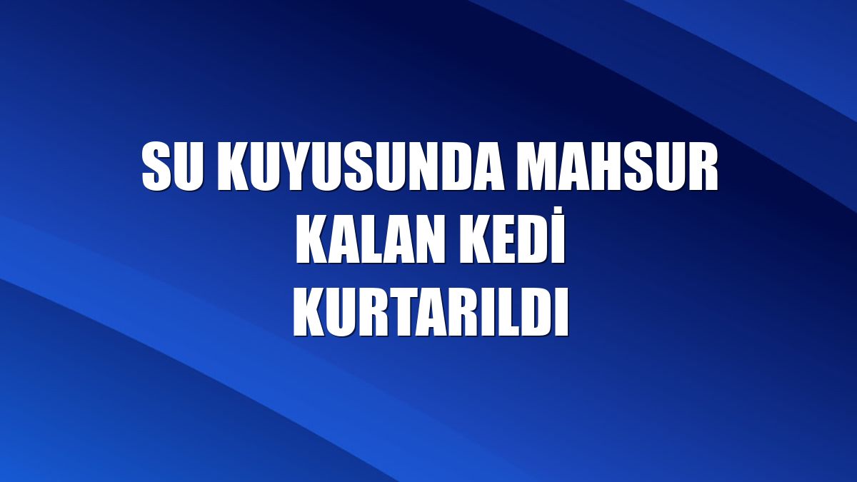 Su kuyusunda mahsur kalan kedi kurtarıldı