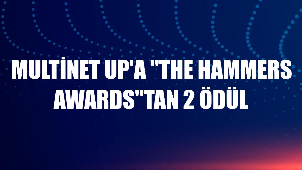 Multinet Up'a 'The Hammers Awards'tan 2 ödül