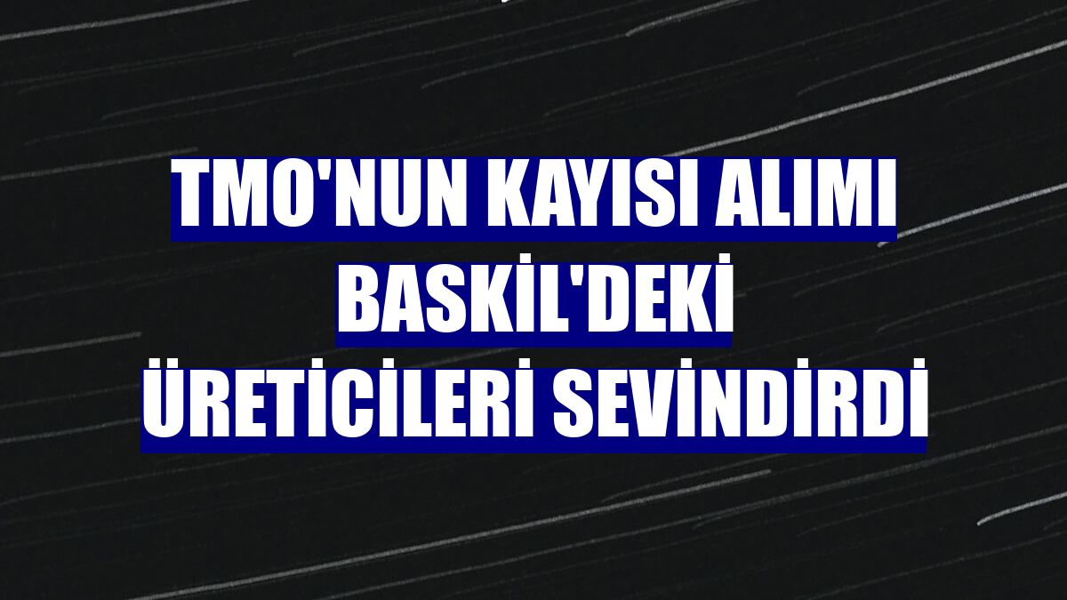 TMO'nun kayısı alımı Baskil'deki üreticileri sevindirdi