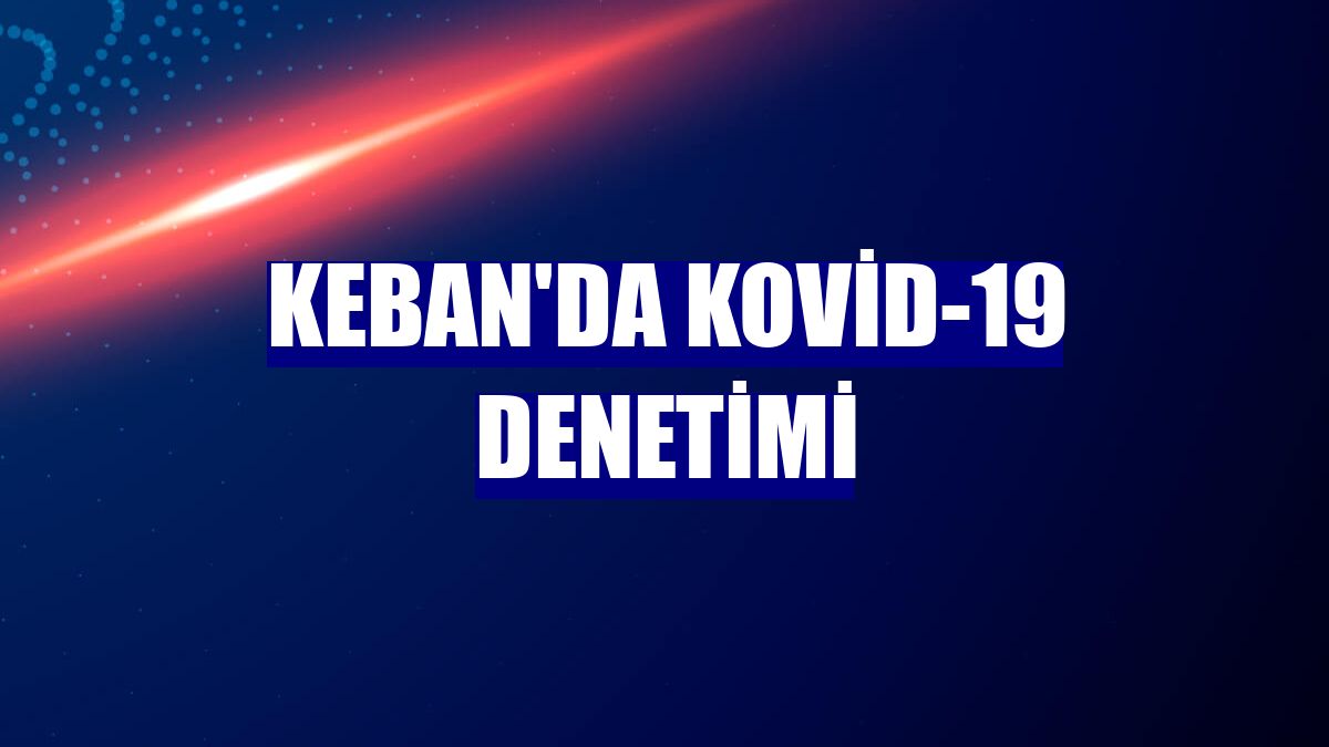 Keban'da Kovid-19 denetimi