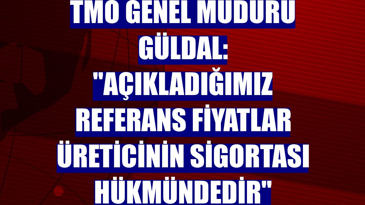 TMO Genel Müdürü Güldal: "Açıkladığımız referans fiyatlar üreticinin sigortası hükmündedir"