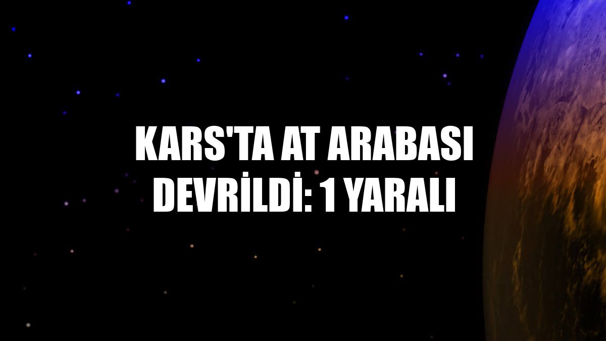 Kars'ta at arabası devrildi: 1 yaralı