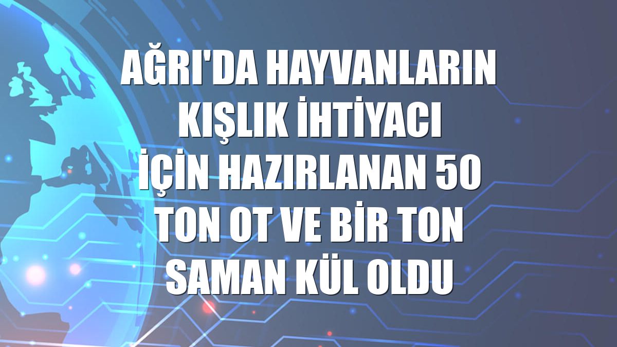 Ağrı'da hayvanların kışlık ihtiyacı için hazırlanan 50 ton ot ve bir ton saman kül oldu