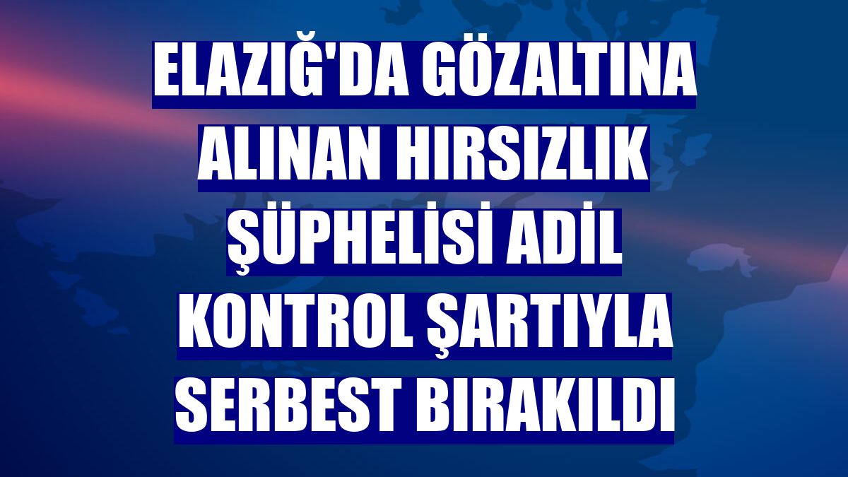 Elazığ'da gözaltına alınan hırsızlık şüphelisi adil kontrol şartıyla serbest bırakıldı