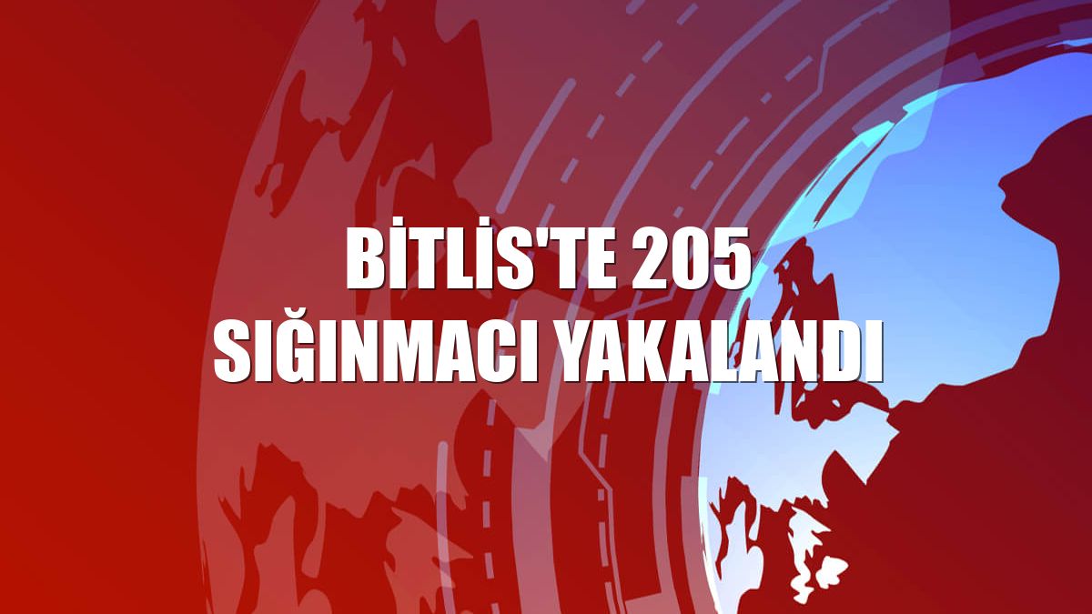 Bitlis'te 205 sığınmacı yakalandı