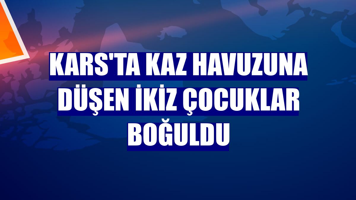 Kars'ta kaz havuzuna düşen ikiz çocuklar boğuldu