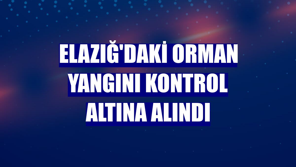 Elazığ'daki orman yangını kontrol altına alındı