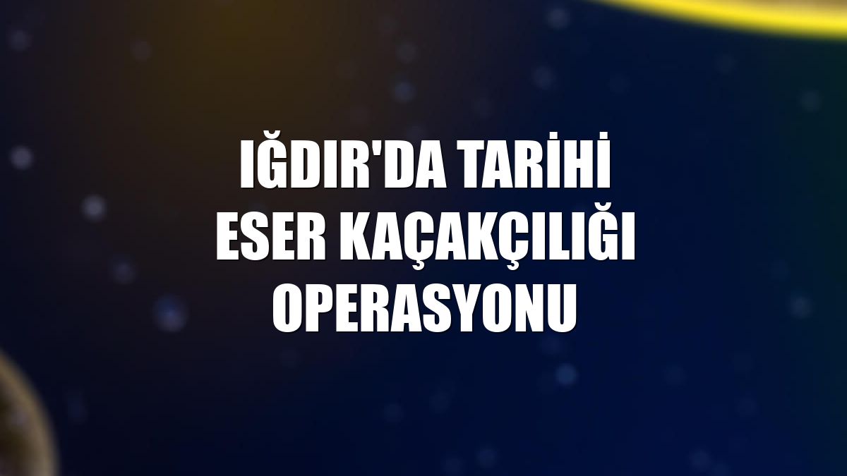 Iğdır'da tarihi eser kaçakçılığı operasyonu