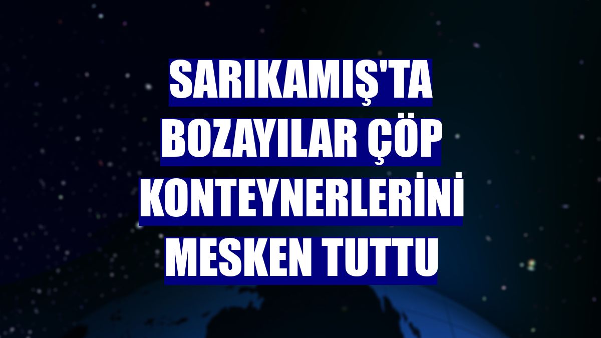 Sarıkamış'ta bozayılar çöp konteynerlerini mesken tuttu