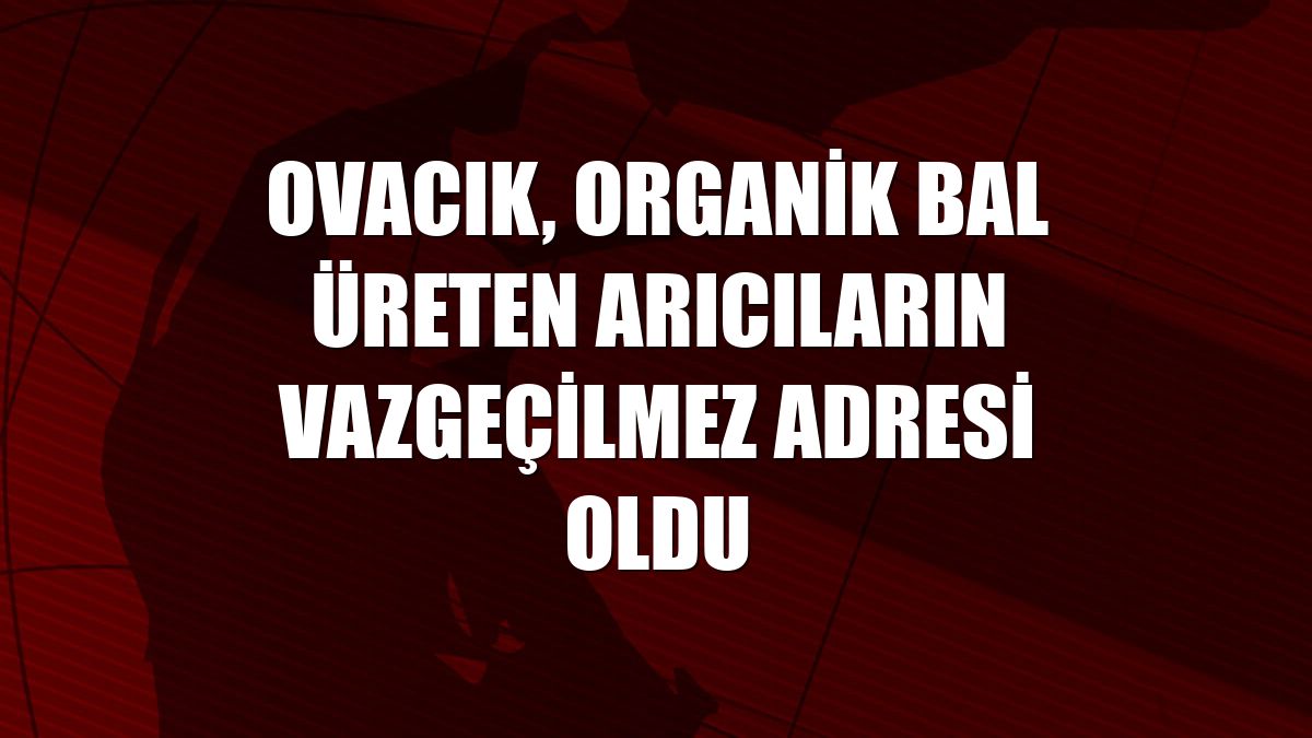 Ovacık, organik bal üreten arıcıların vazgeçilmez adresi oldu