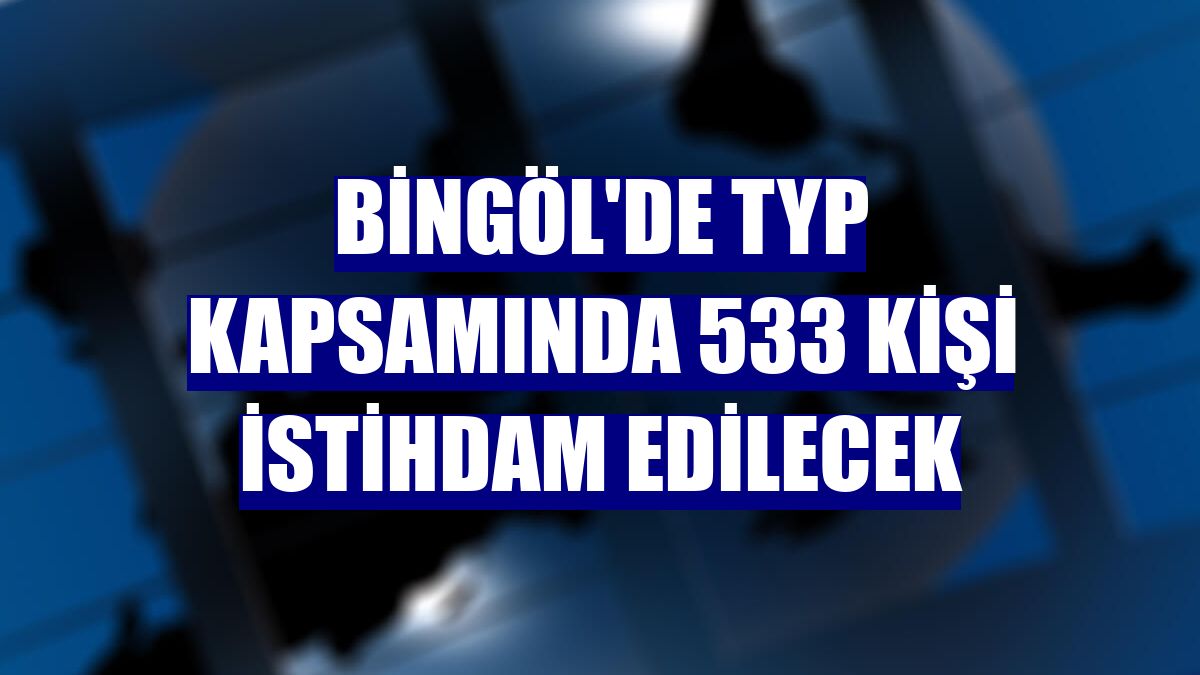Bingöl'de TYP kapsamında 533 kişi istihdam edilecek
