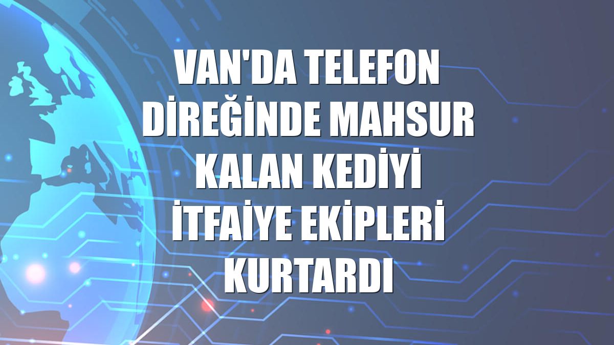 Van'da telefon direğinde mahsur kalan kediyi itfaiye ekipleri kurtardı