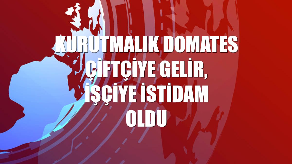 Kurutmalık domates çiftçiye gelir, işçiye istidam oldu