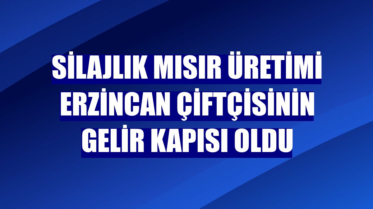 Silajlık mısır üretimi Erzincan çiftçisinin gelir kapısı oldu