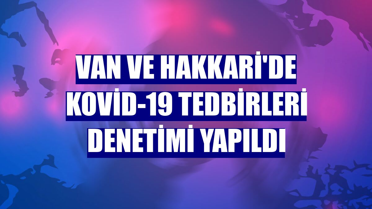 Van ve Hakkari'de Kovid-19 tedbirleri denetimi yapıldı