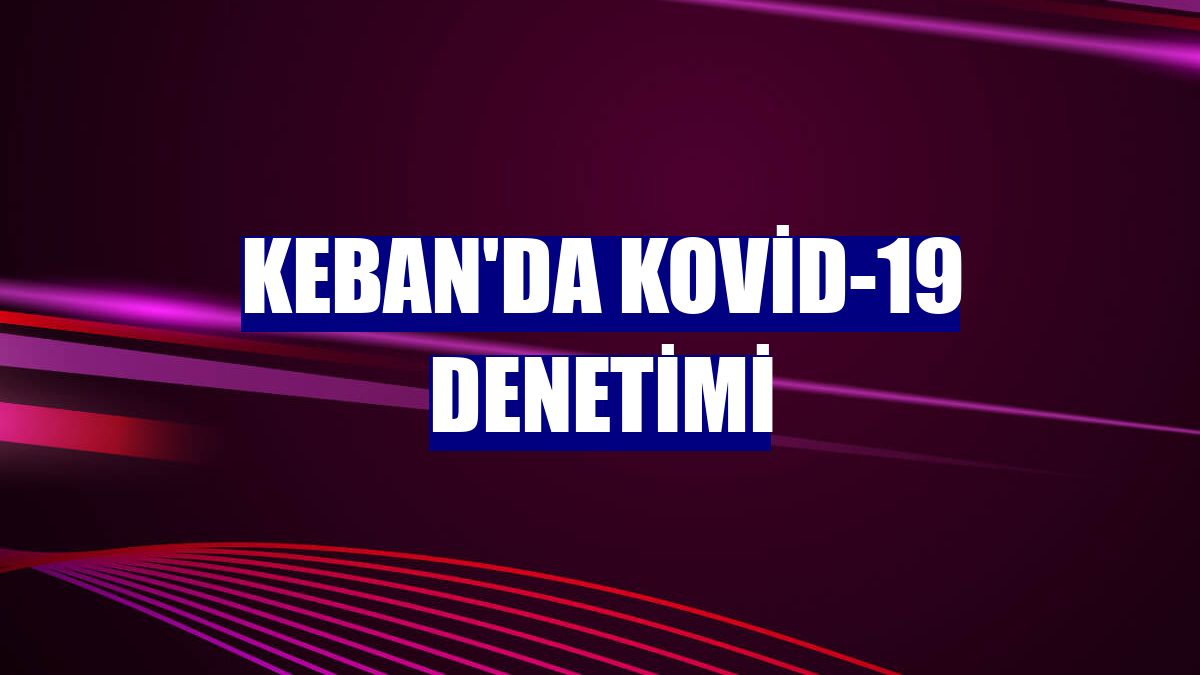 Keban'da Kovid-19 denetimi