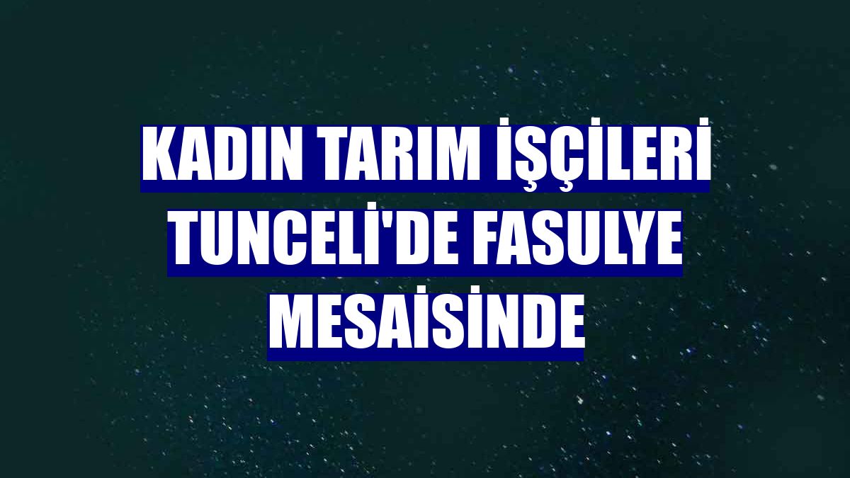 Kadın tarım işçileri Tunceli'de fasulye mesaisinde