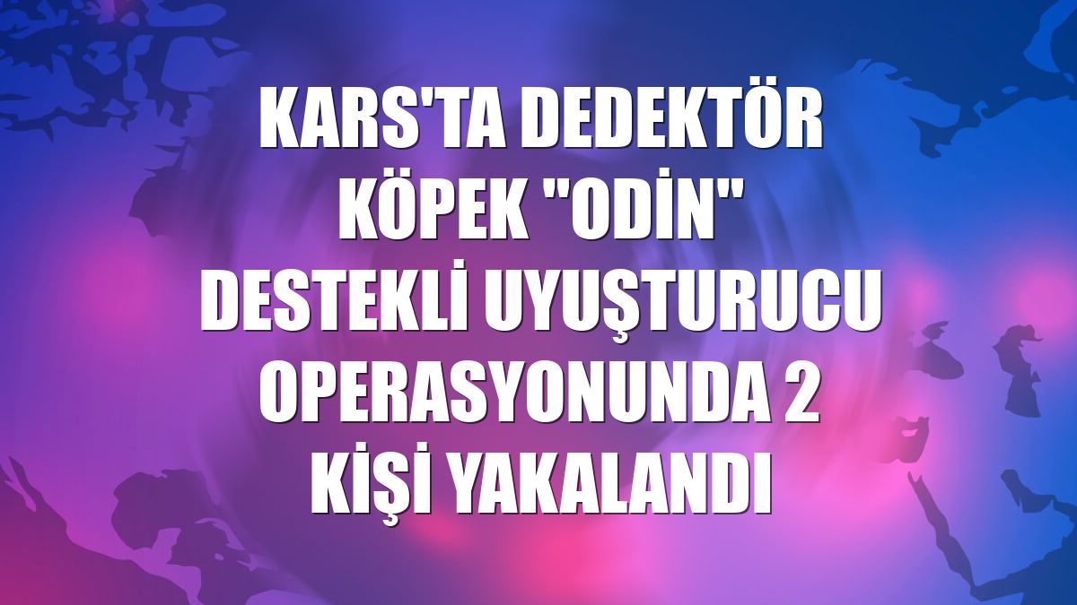 Kars'ta dedektör köpek "Odin" destekli uyuşturucu operasyonunda 2 kişi yakalandı