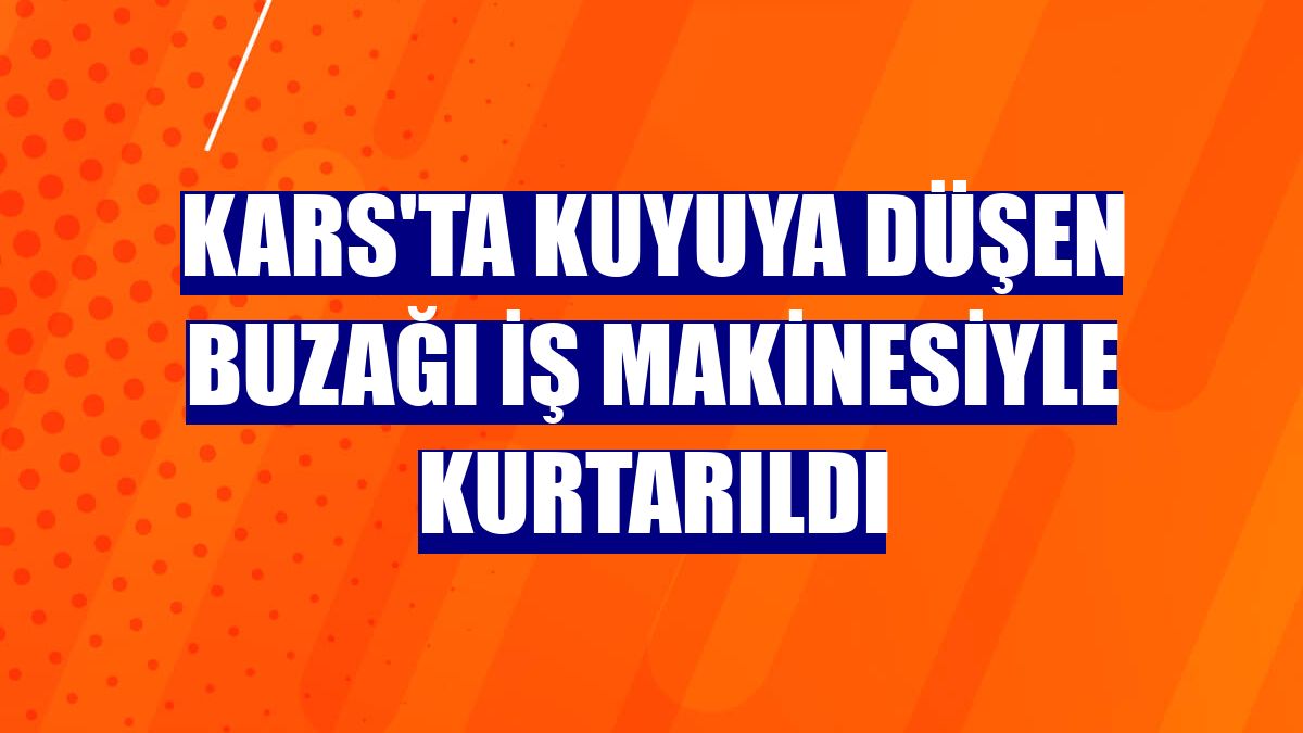 Kars'ta kuyuya düşen buzağı iş makinesiyle kurtarıldı