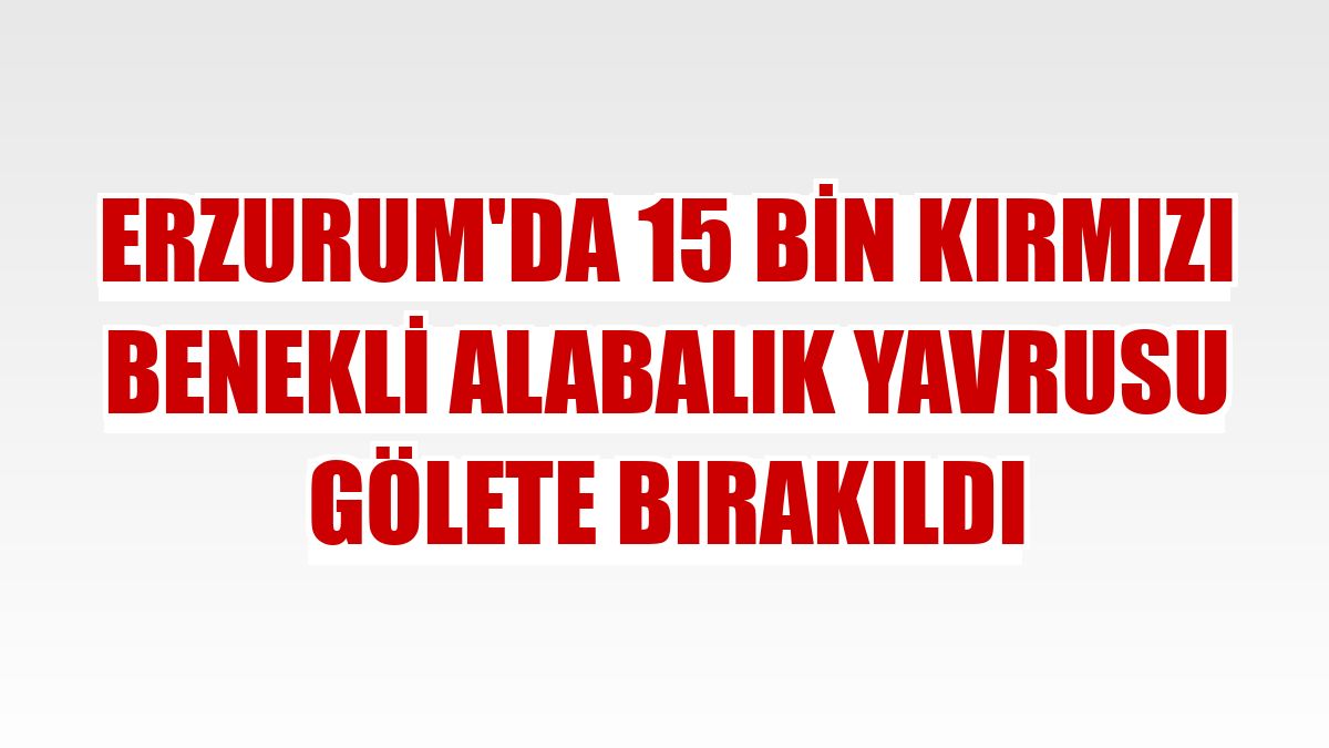 Erzurum'da 15 bin kırmızı benekli alabalık yavrusu gölete bırakıldı