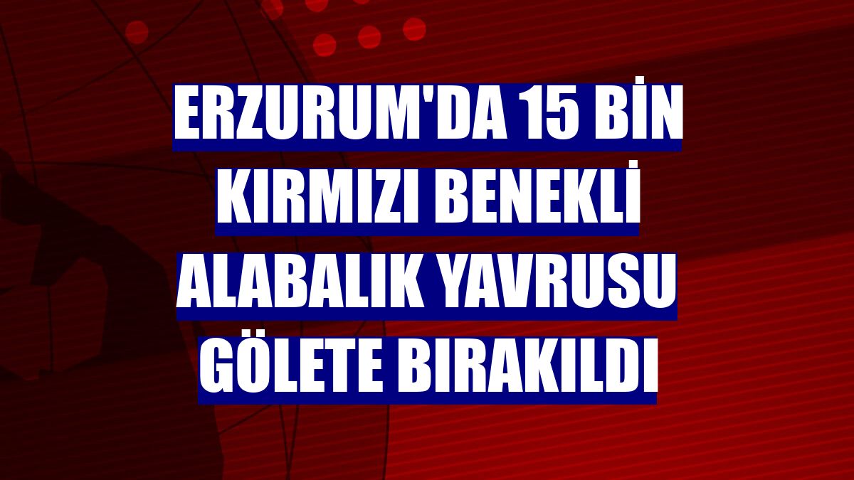 Erzurum'da 15 bin kırmızı benekli alabalık yavrusu gölete bırakıldı