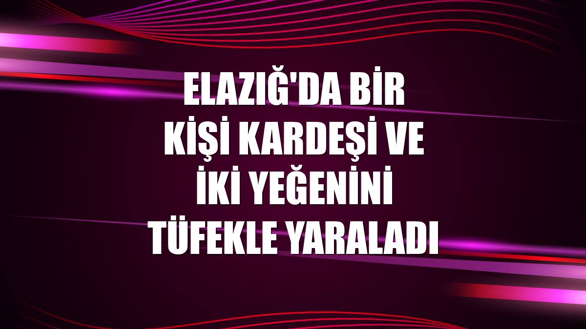 Elazığ'da bir kişi kardeşi ve iki yeğenini tüfekle yaraladı