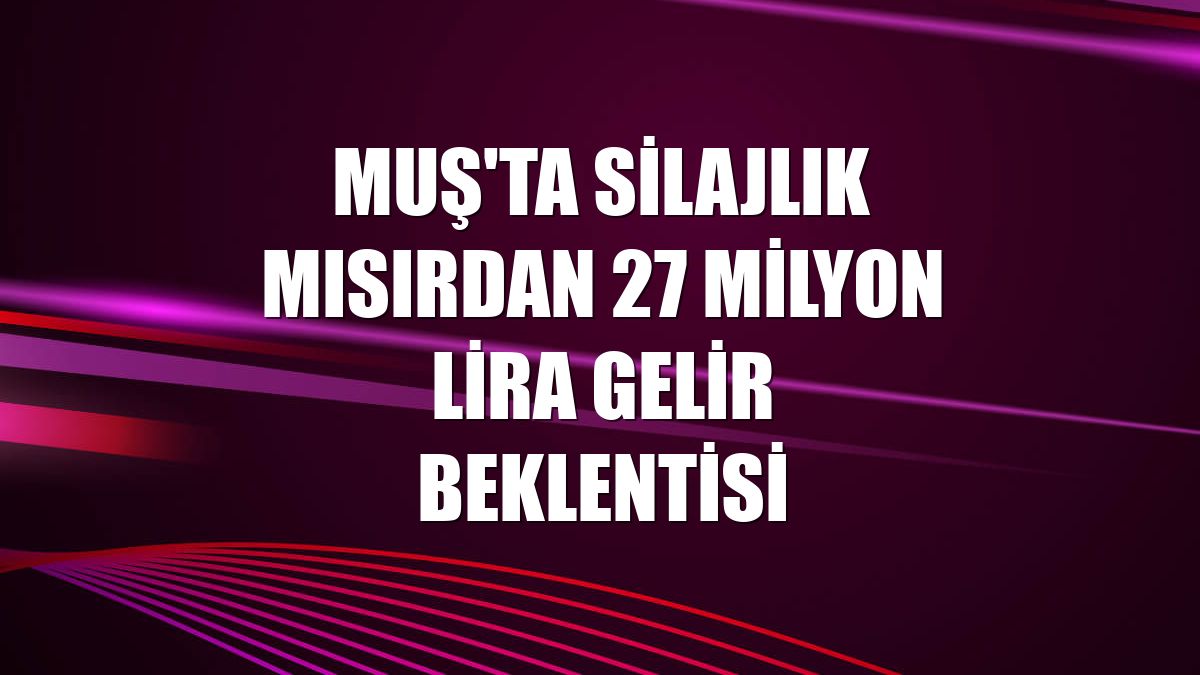 Muş'ta silajlık mısırdan 27 milyon lira gelir beklentisi