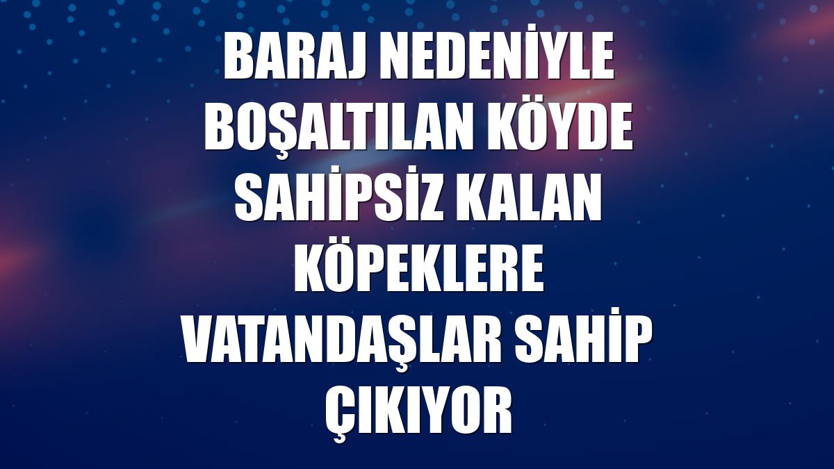 Baraj nedeniyle boşaltılan köyde sahipsiz kalan köpeklere vatandaşlar sahip çıkıyor