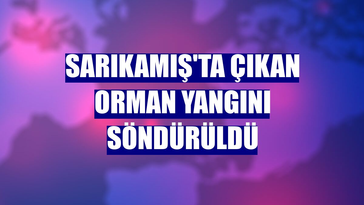 Sarıkamış'ta çıkan orman yangını söndürüldü