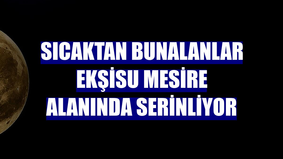 Sıcaktan bunalanlar Ekşisu mesire alanında serinliyor
