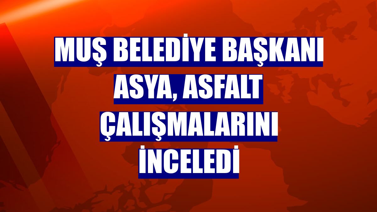 Muş Belediye Başkanı Asya, asfalt çalışmalarını inceledi