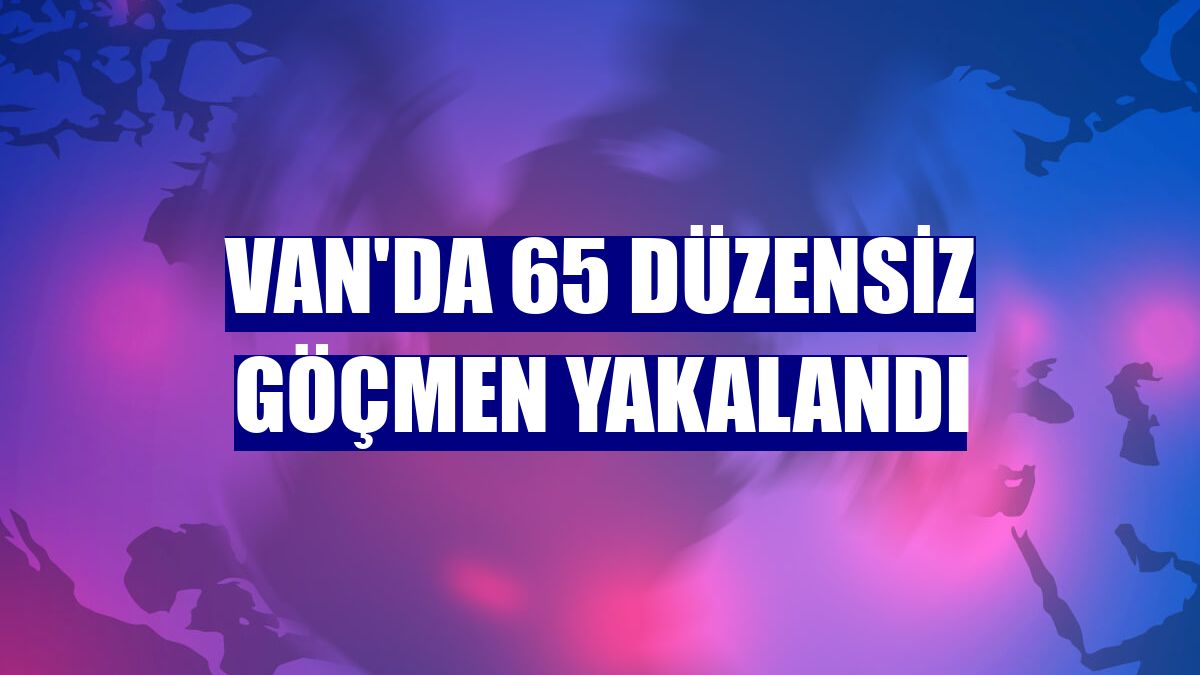 Van'da 65 düzensiz göçmen yakalandı