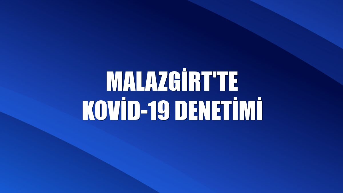 Malazgirt'te Kovid-19 denetimi