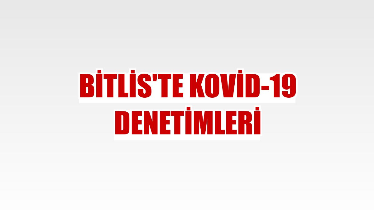 Bitlis'te Kovid-19 denetimleri