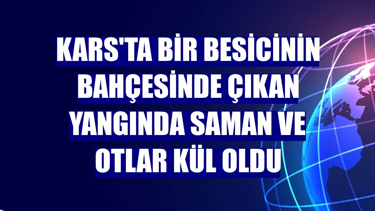 Kars'ta bir besicinin bahçesinde çıkan yangında saman ve otlar kül oldu