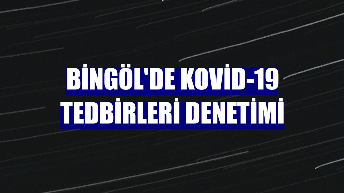 Bingöl'de Kovid-19 tedbirleri denetimi