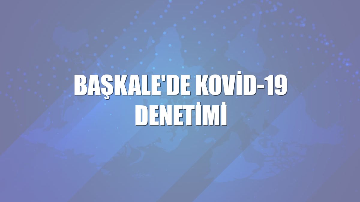 Başkale'de Kovid-19 denetimi