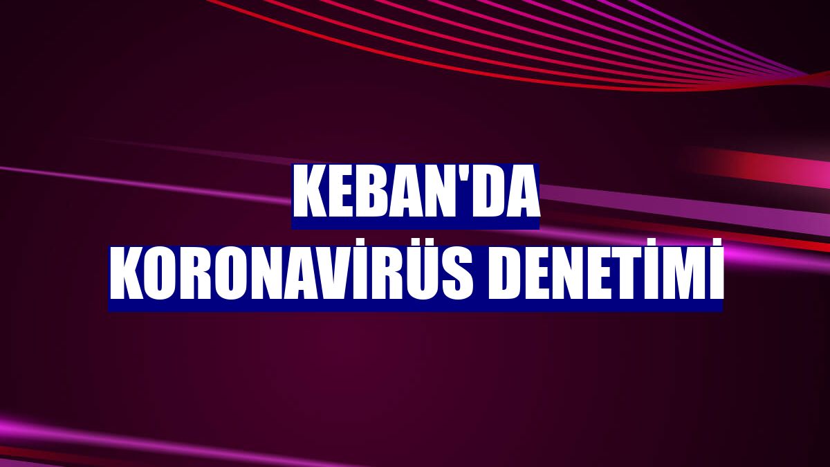 Keban'da koronavirüs denetimi