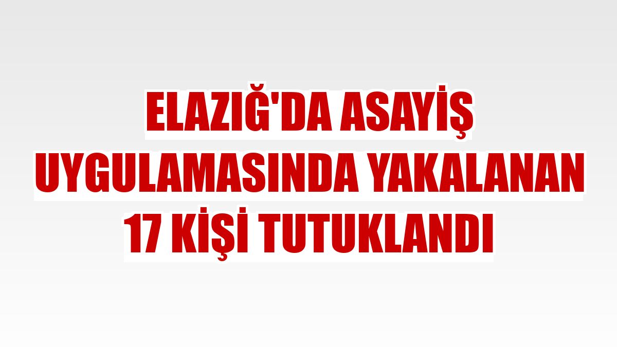 Elazığ'da asayiş uygulamasında yakalanan 17 kişi tutuklandı