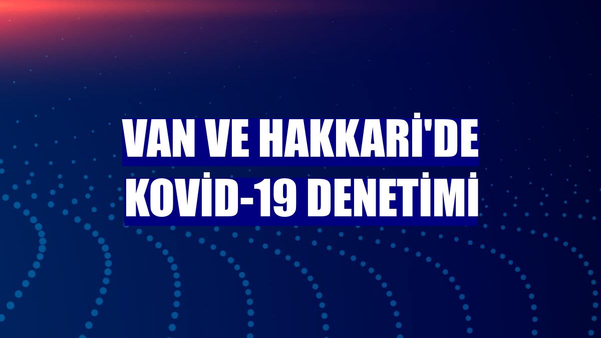 Van ve Hakkari'de Kovid-19 denetimi