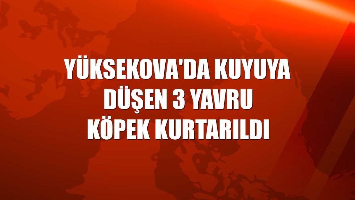 Yüksekova'da kuyuya düşen 3 yavru köpek kurtarıldı