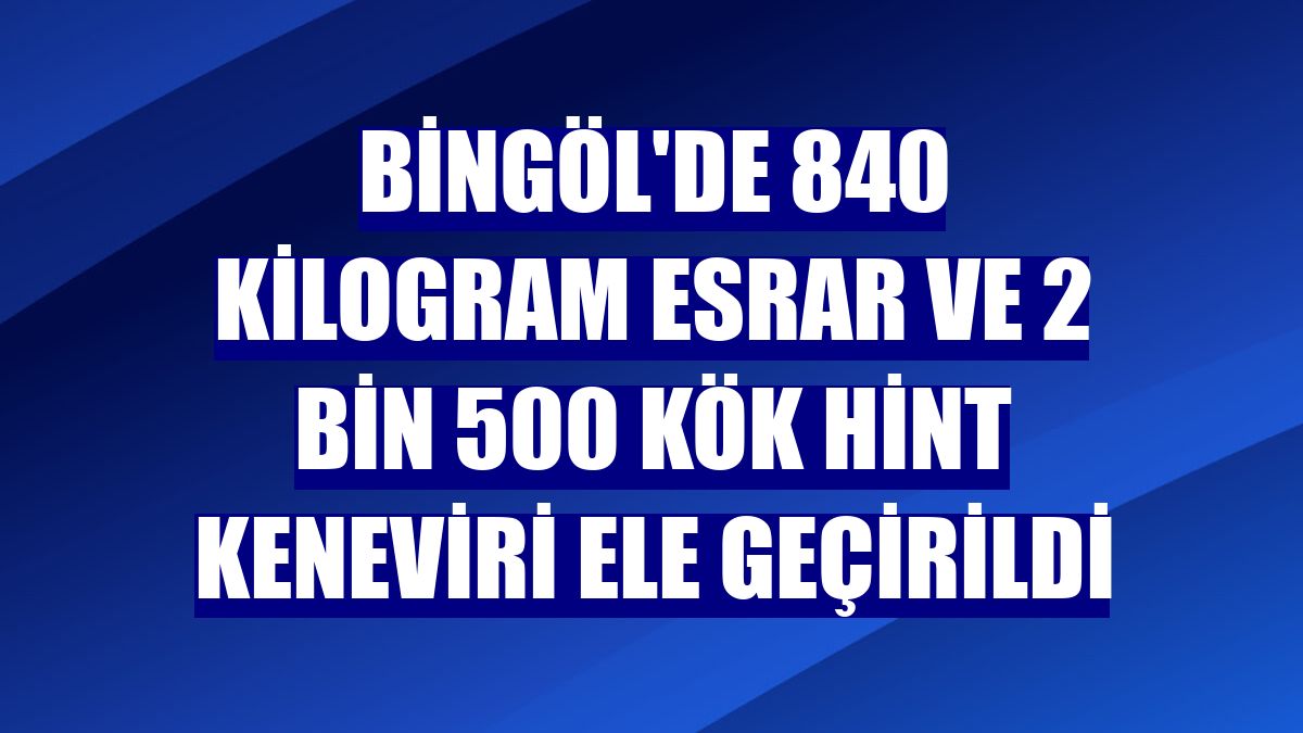 Bingöl'de 840 kilogram esrar ve 2 bin 500 kök Hint keneviri ele geçirildi