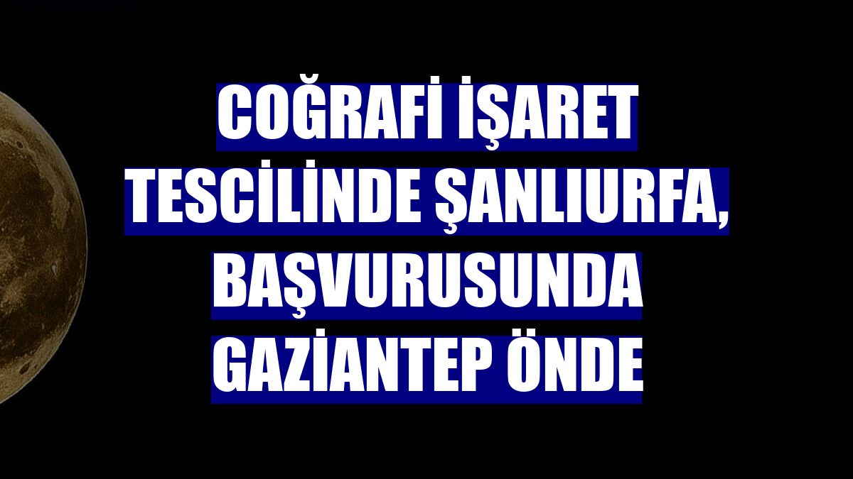 Coğrafi işaret tescilinde Şanlıurfa, başvurusunda Gaziantep önde