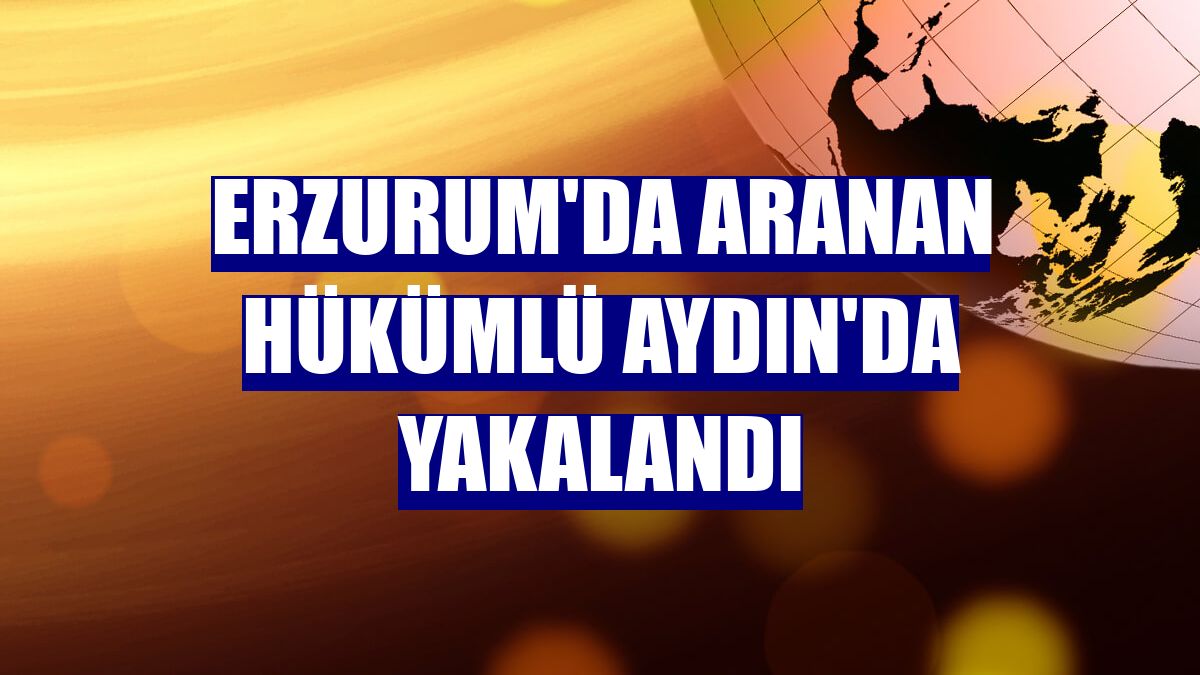 Erzurum'da aranan hükümlü Aydın'da yakalandı