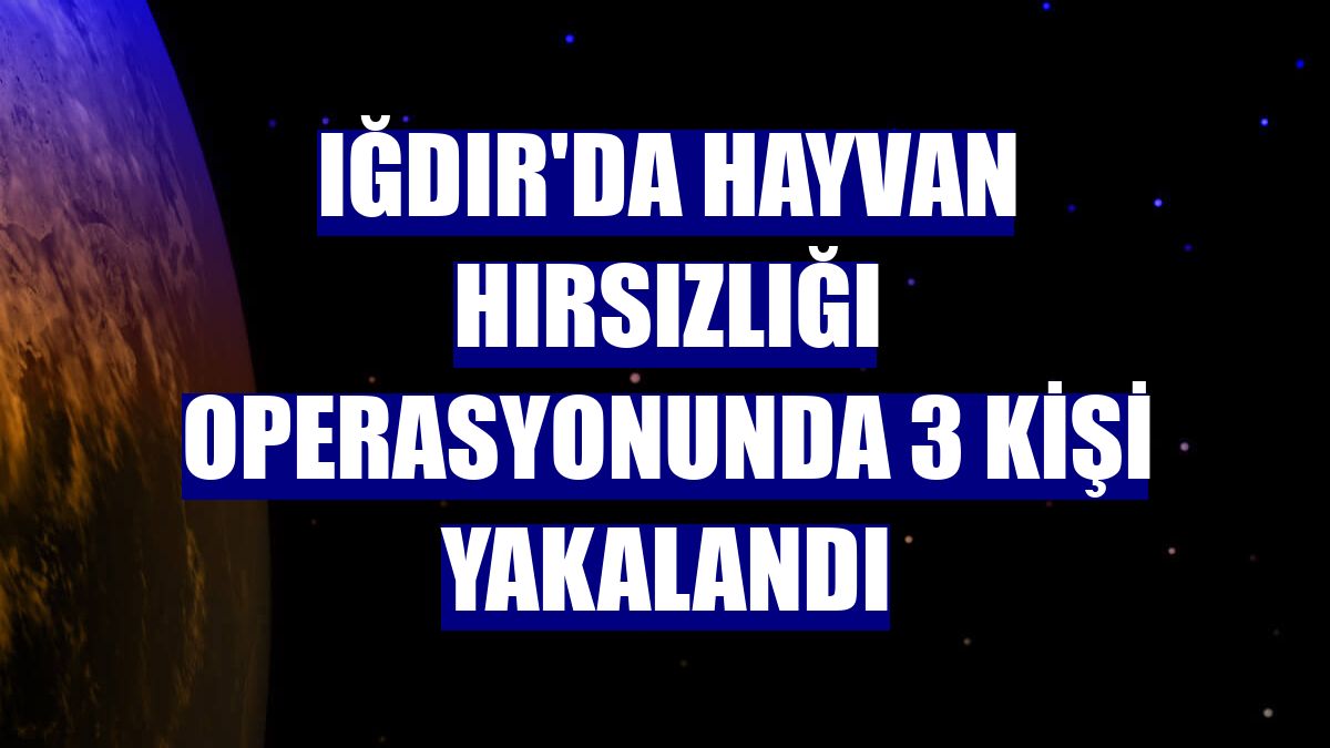 Iğdır'da hayvan hırsızlığı operasyonunda 3 kişi yakalandı