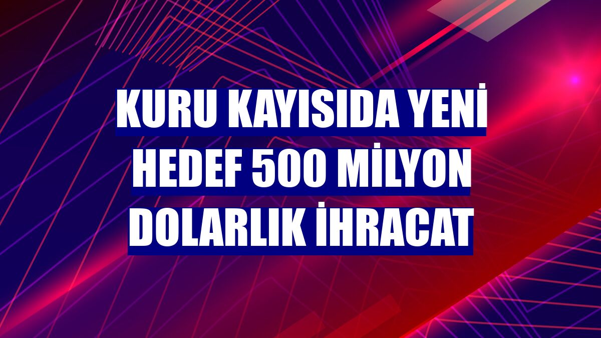 Kuru kayısıda yeni hedef 500 milyon dolarlık ihracat