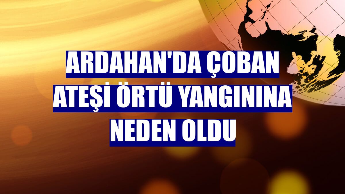Ardahan'da çoban ateşi örtü yangınına neden oldu